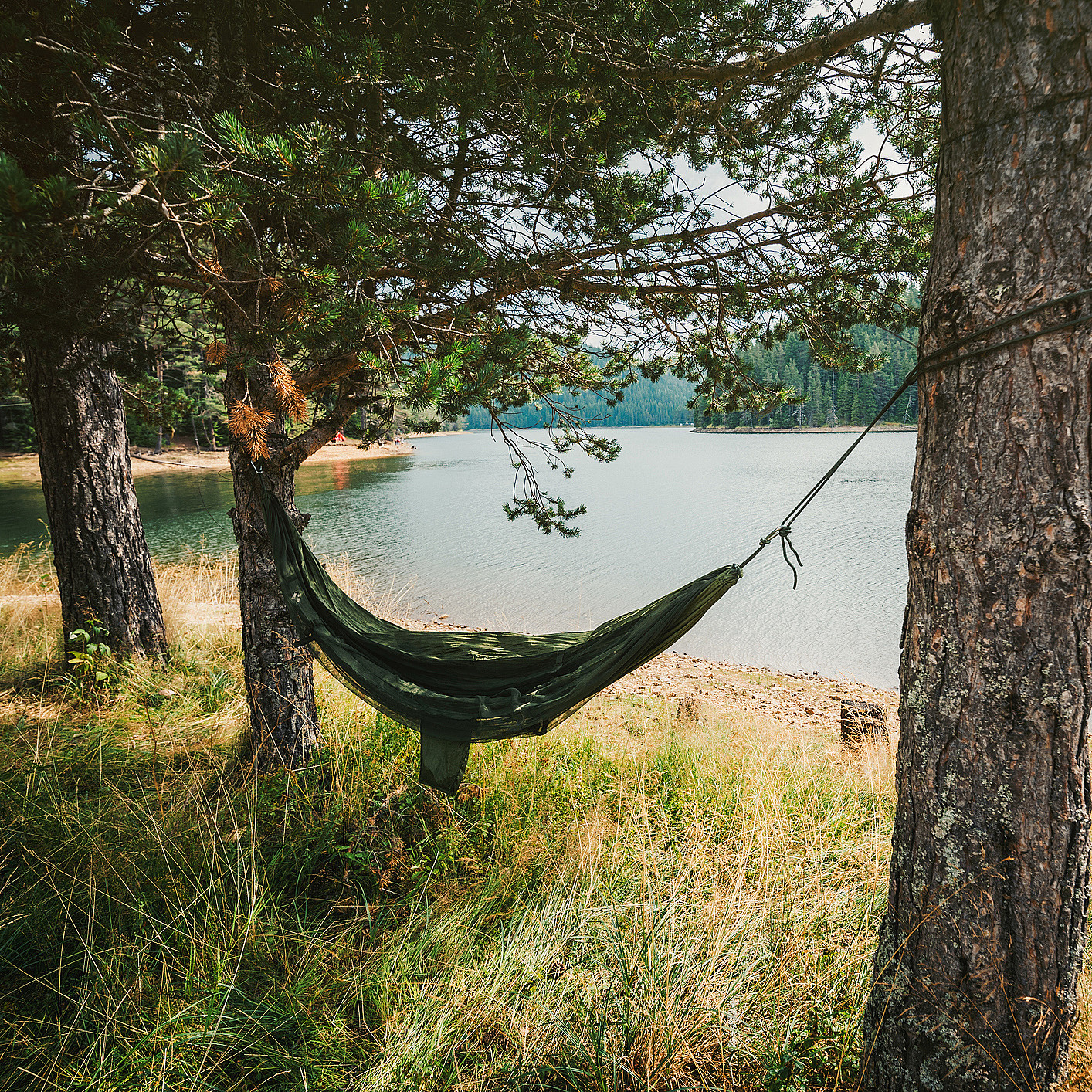 Hengekøyeglamping
