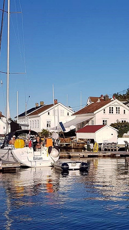 Selsafari i kajakk - image 4