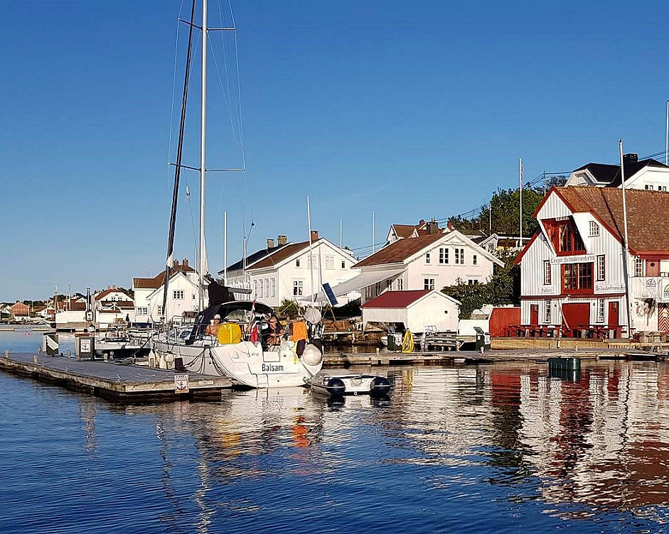 Selsafari i kajakk