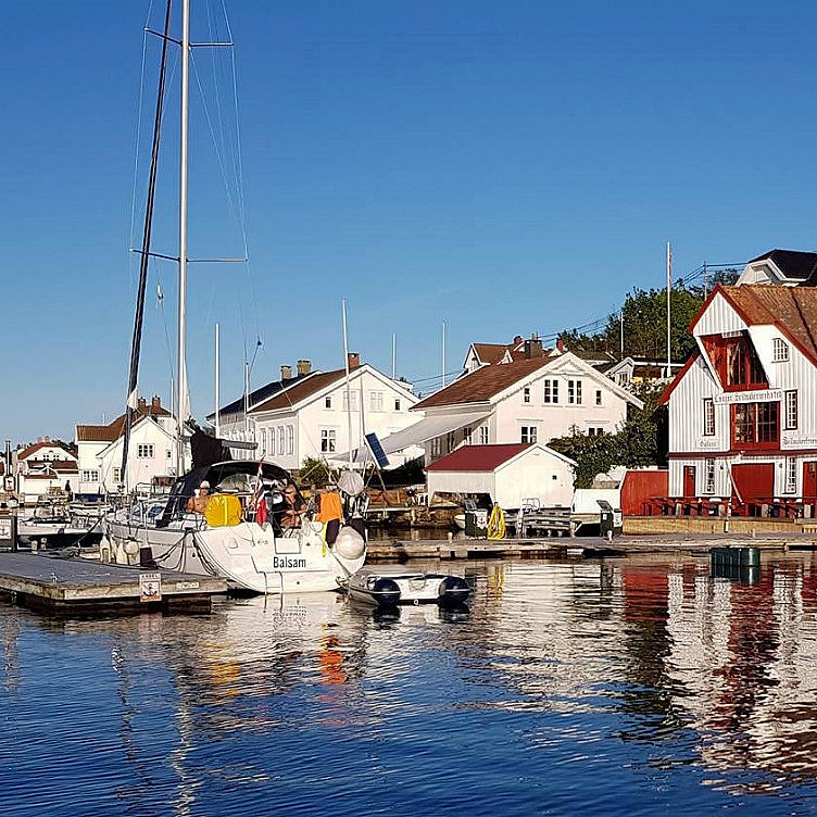Selsafari i kajakk