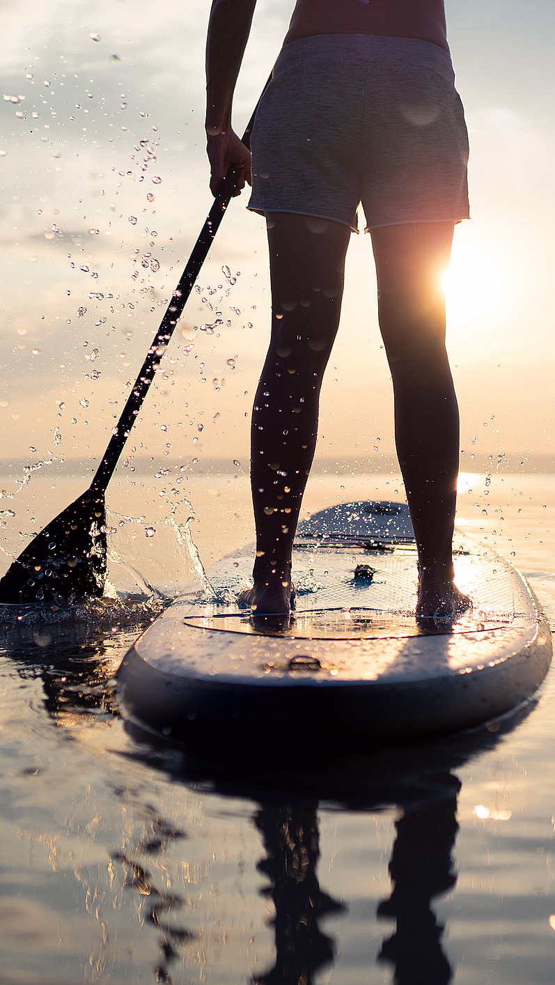 Guidet SUP safari - image 4