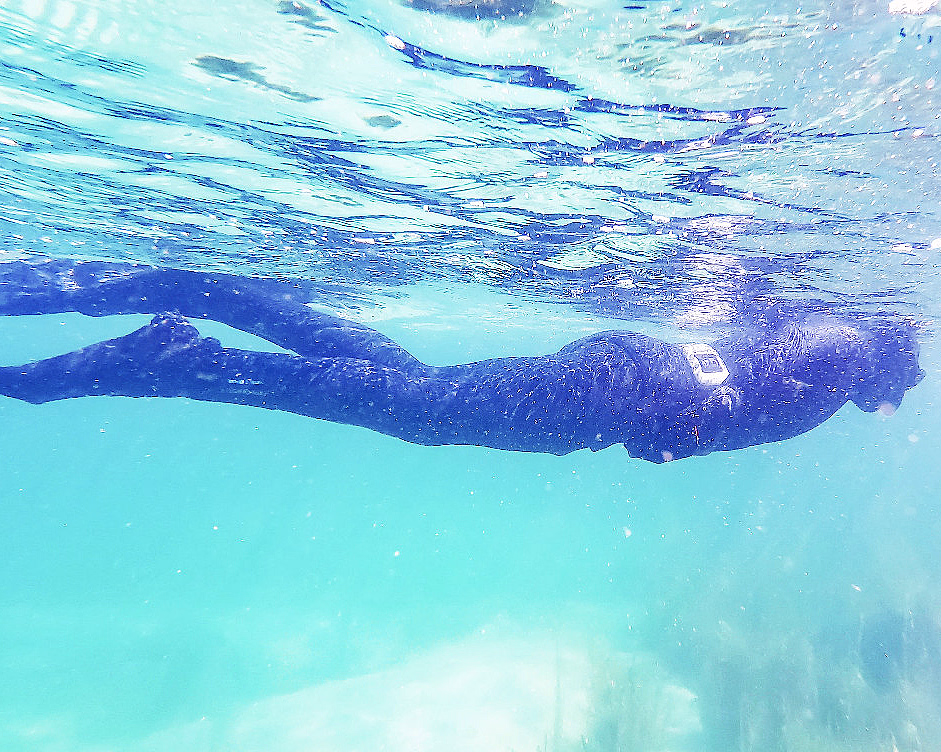 Snorklesafari - image 1