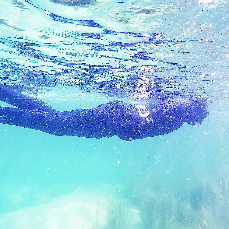 Snorklesafari