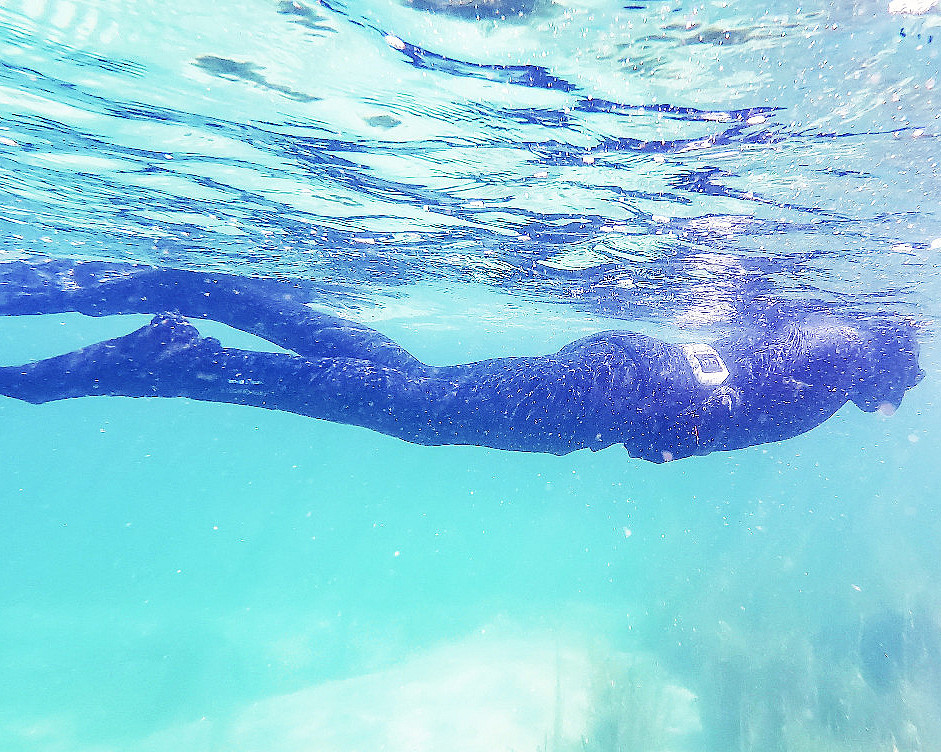 Snorklesafari