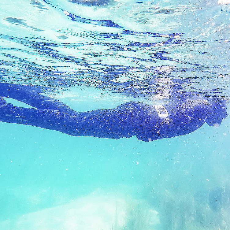 Snorklesafari