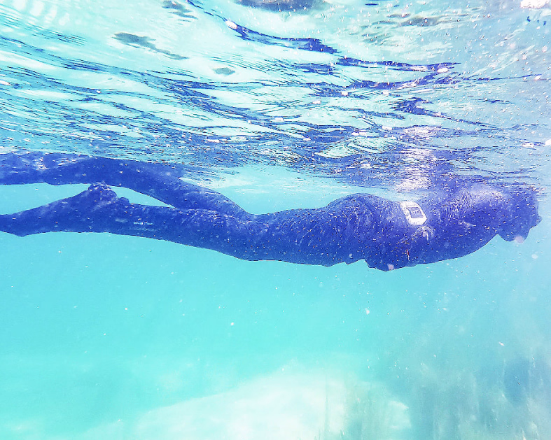 Snorklesafari - image 1