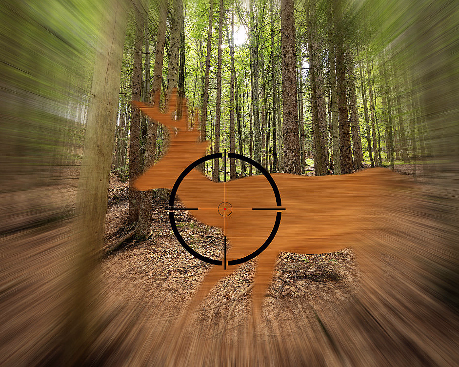 Jaktsimulator for to - image 1