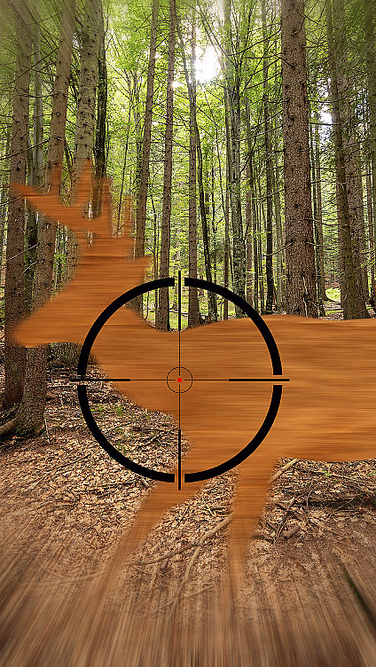 Jaktsimulator for to - image 1