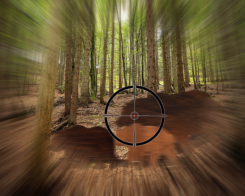 Jaktsimulator for to - image 3