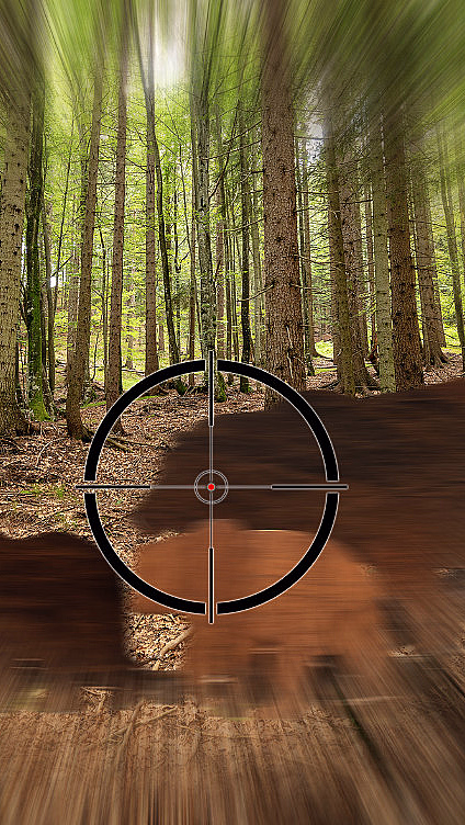 Jaktsimulator for to - image 3