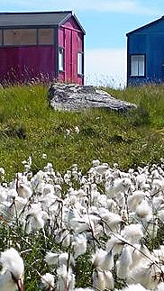 Småhyttene - image 4