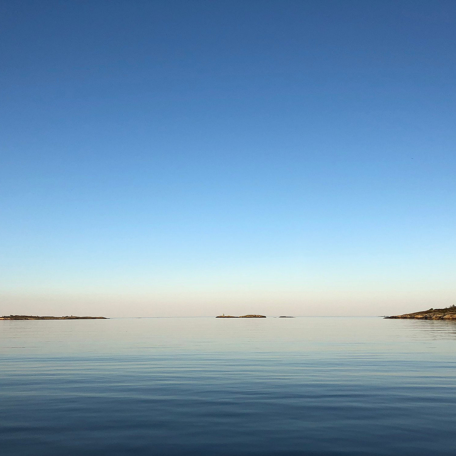 Sjøsafari Lillesand