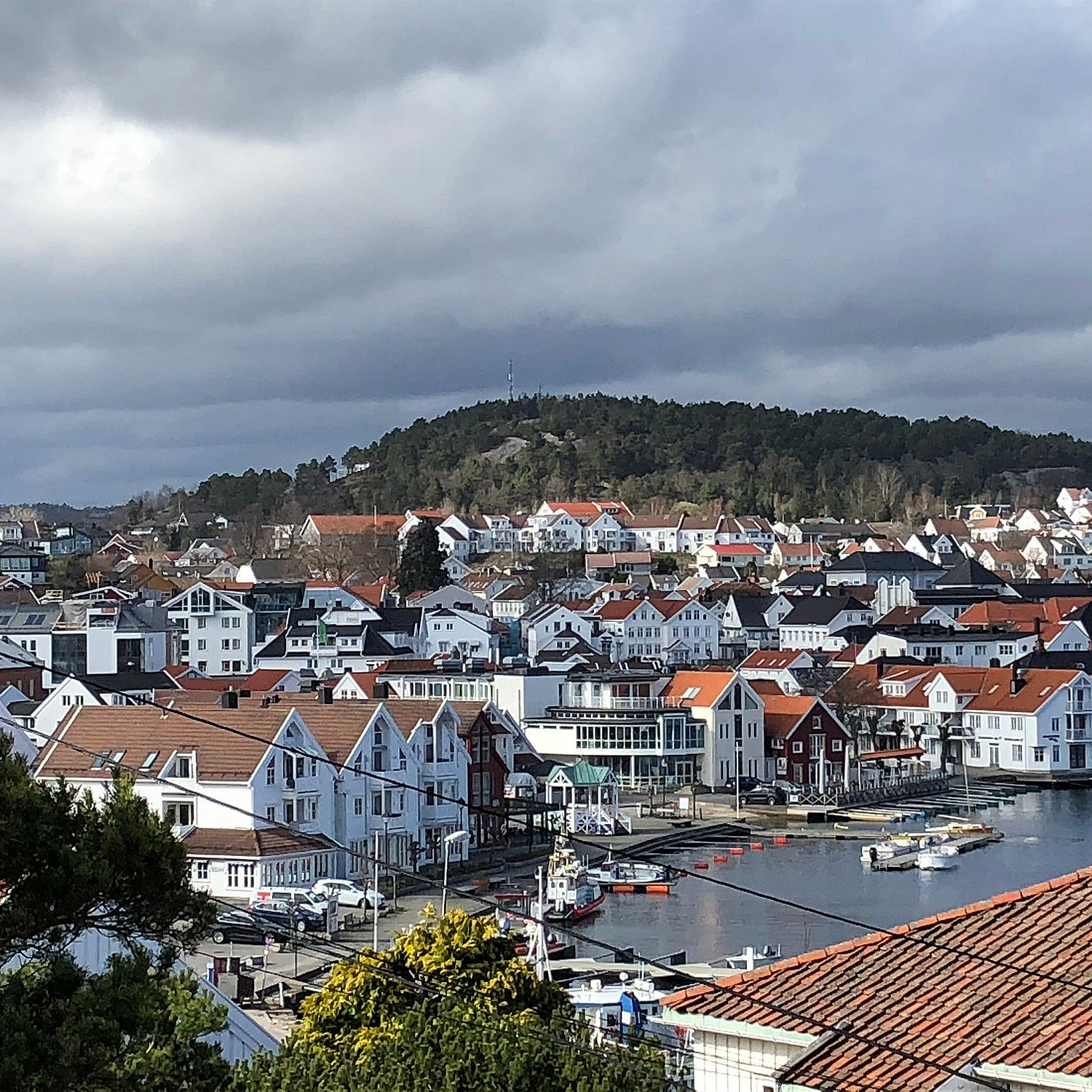 Sjøsafari Lillesand