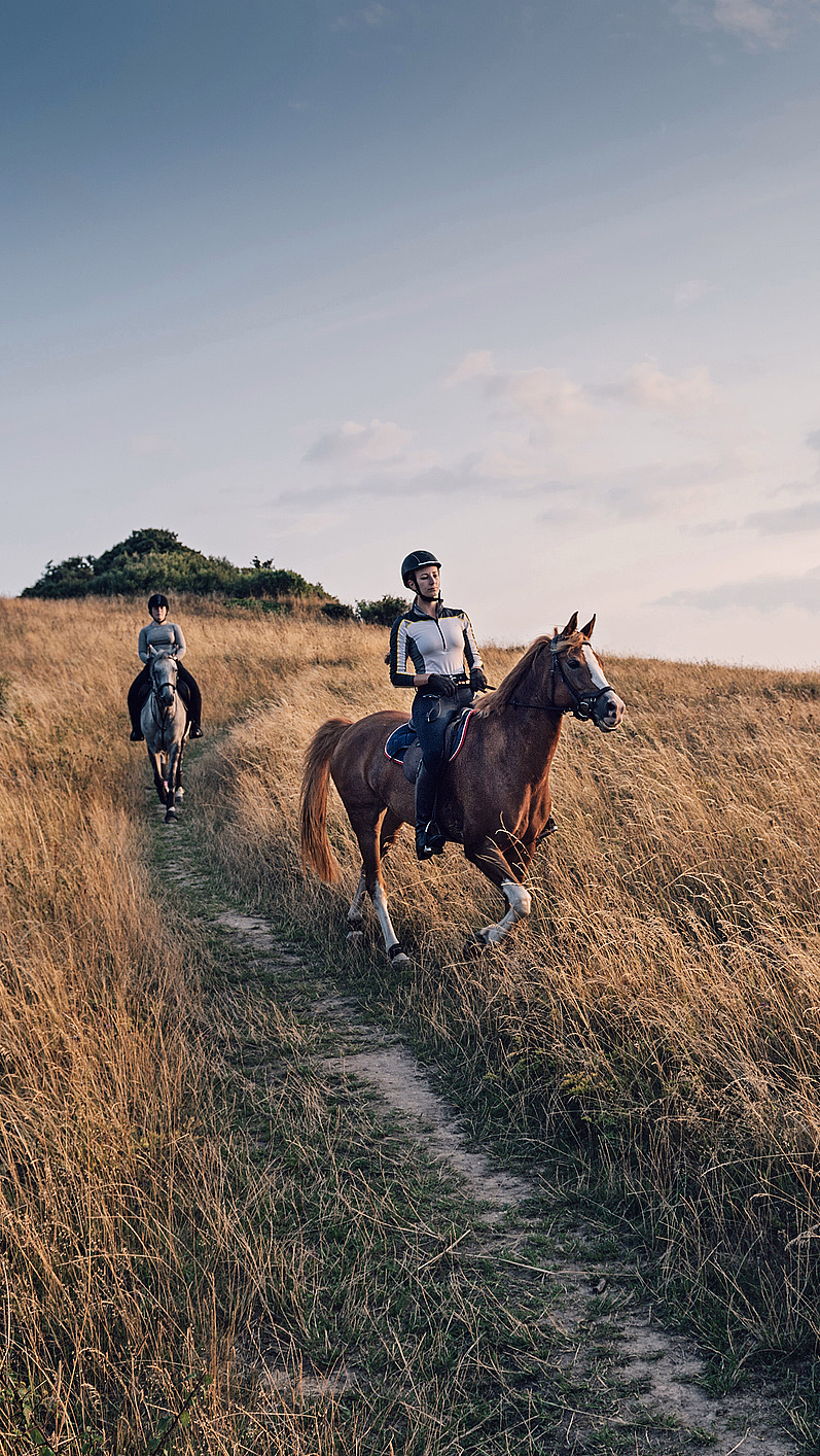 Ridetur - image 1