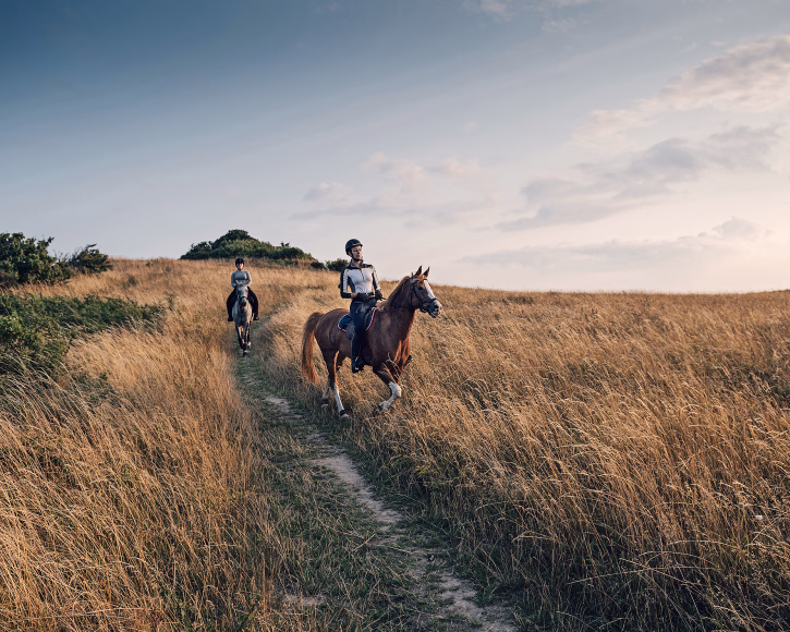 Ridetur - image 1