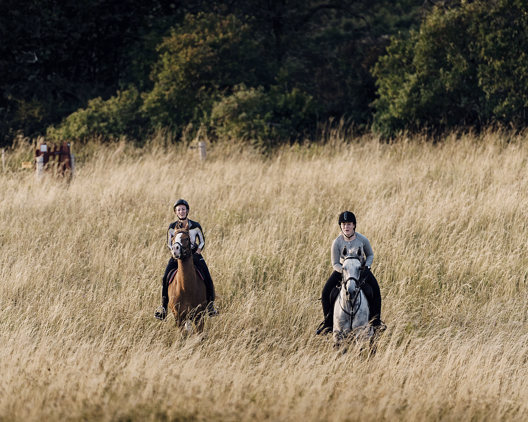 Ridetur - image 3