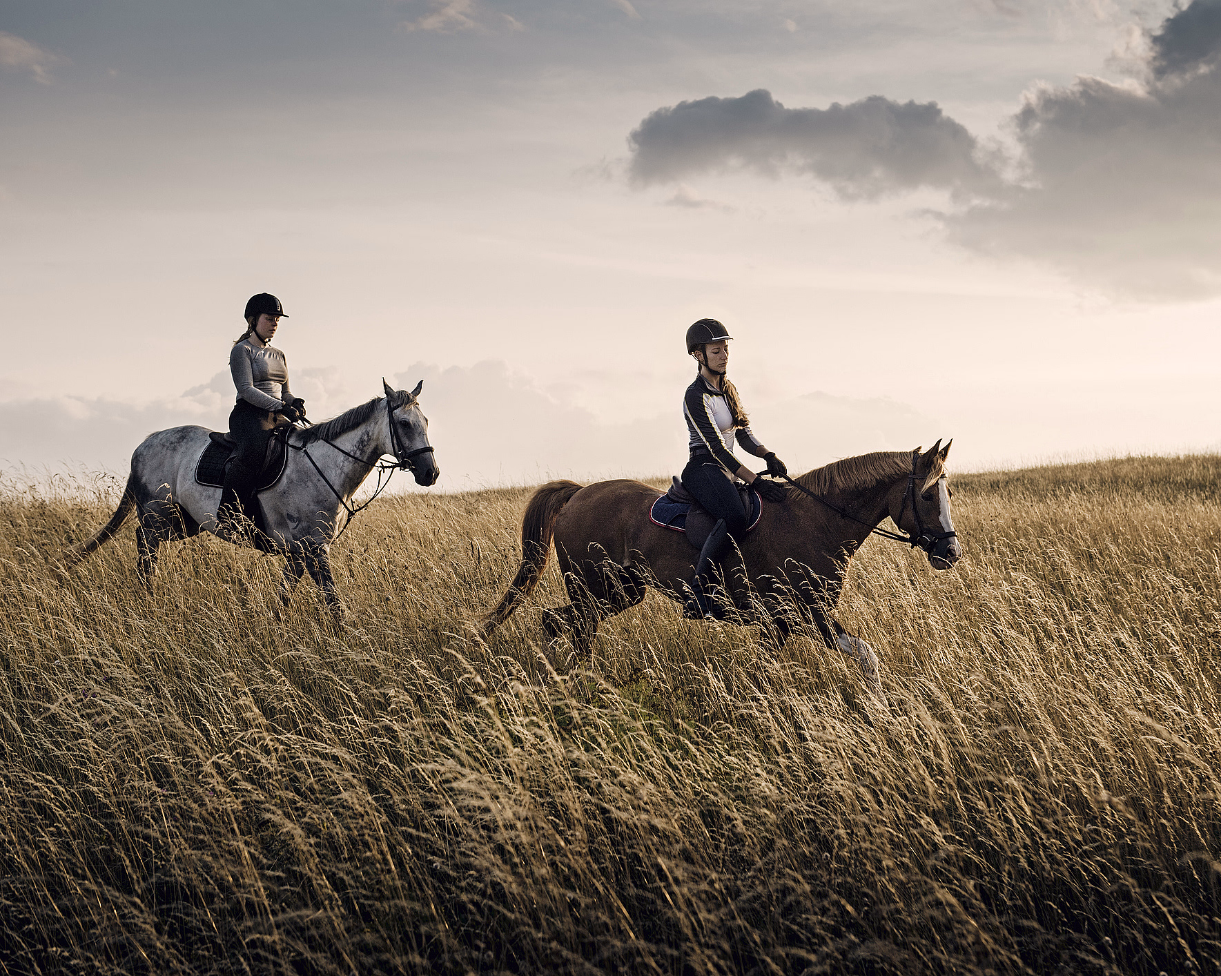 Ridetur - image 4