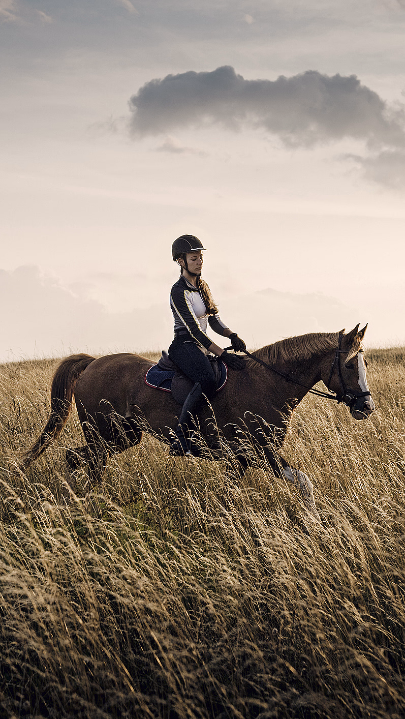 Ridetur - image 4