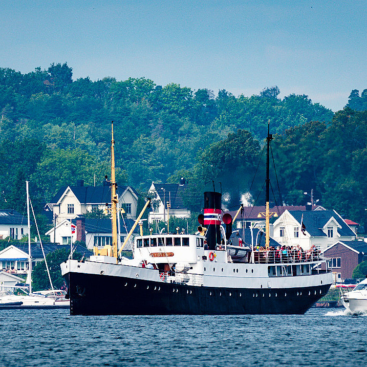 Cruisetur med dampskip