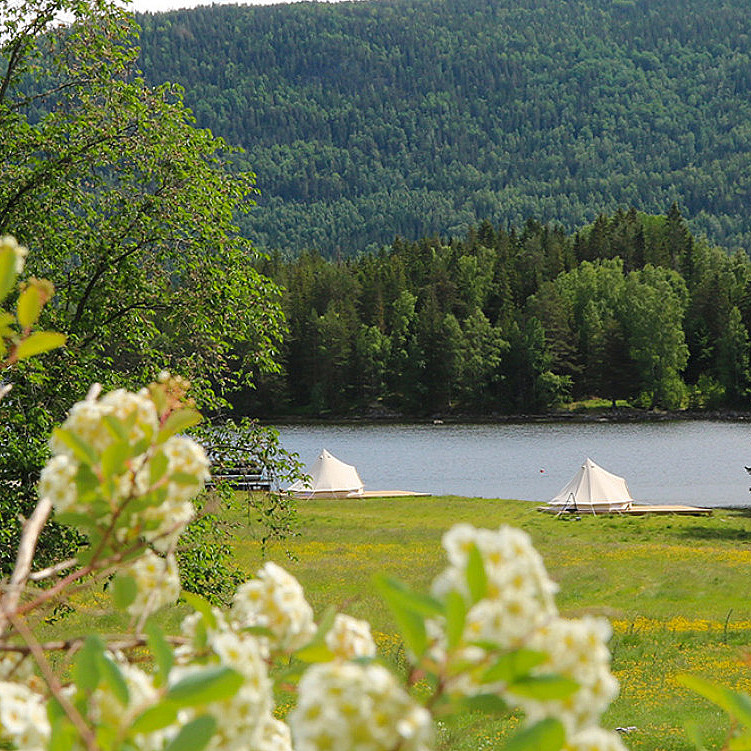 Glamping