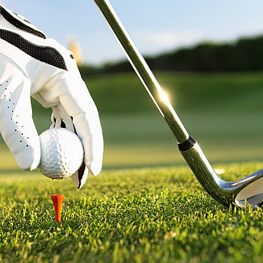 Golftime med proff