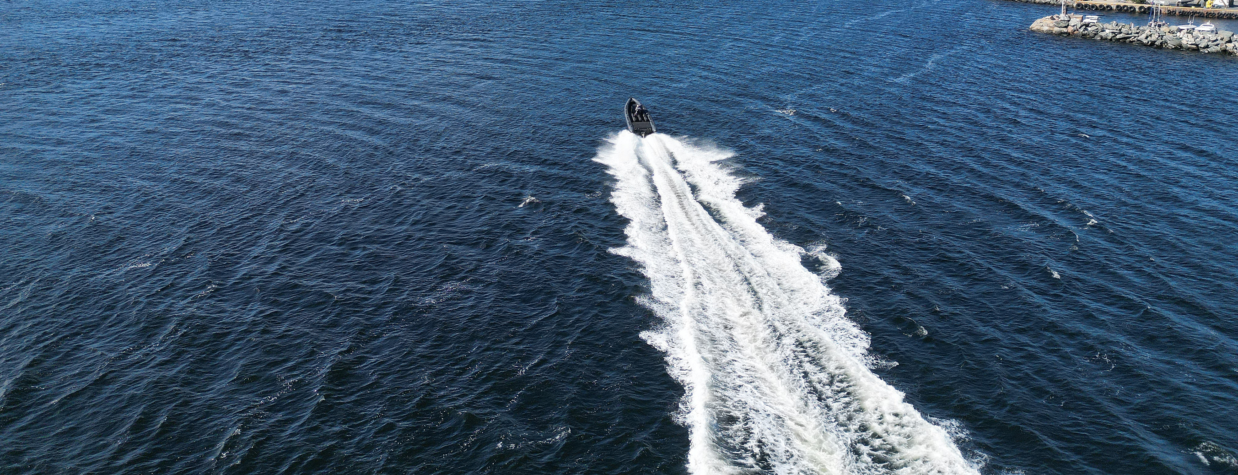 RIB safari