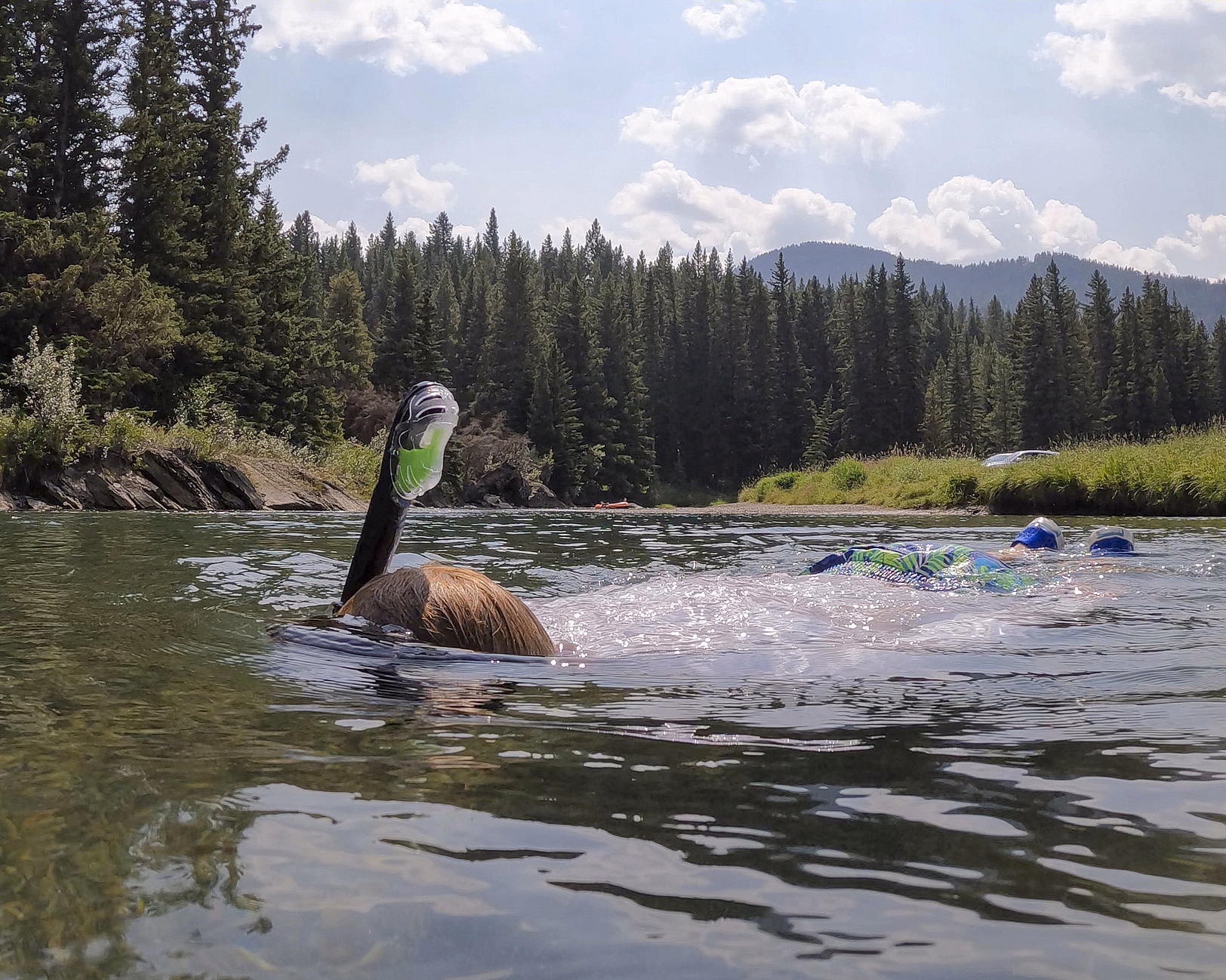 Person som snorkler i en klar elv med skog og fjell i bakgrunnen