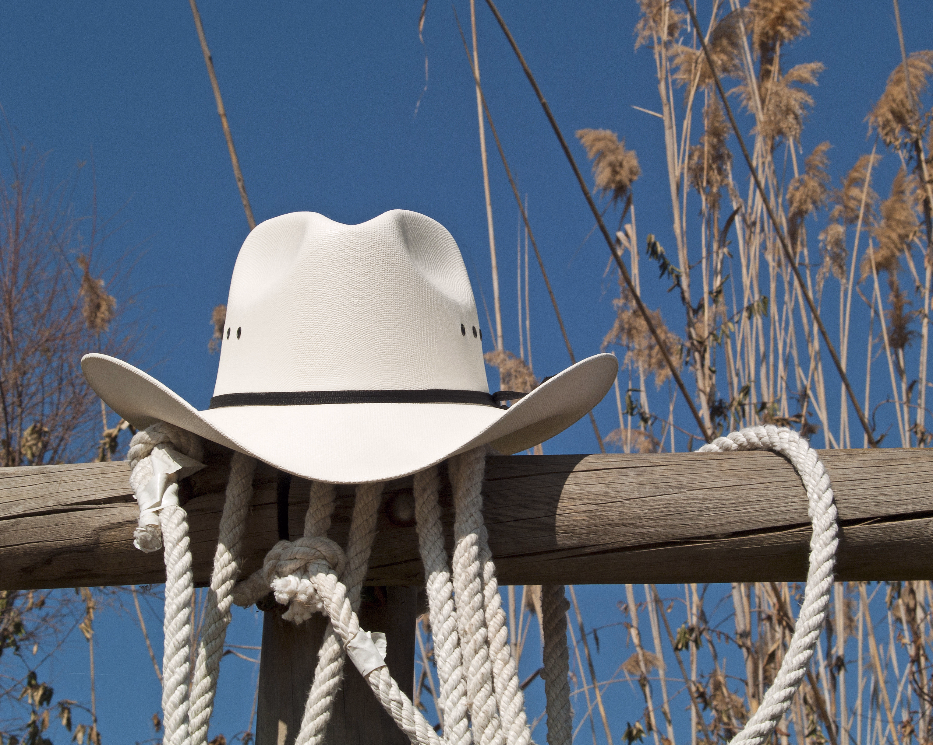 Hvit cowboyhatt med svart bånd på et tregjerde med tykke tau og tørre planter bak
