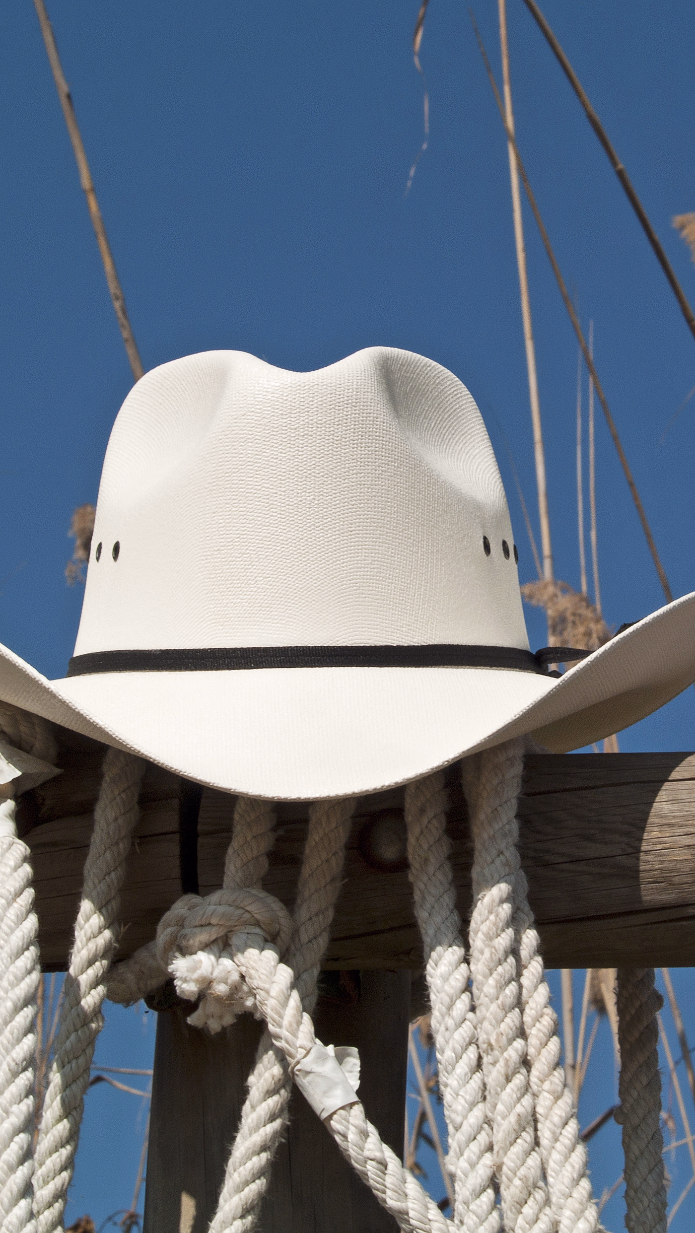 Hvit cowboyhatt med svart bånd på et tregjerde med tykke tau og tørre planter bak