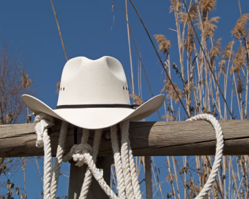 Hvit cowboyhatt med svart bånd på et tregjerde med tykke tau og tørre planter bak