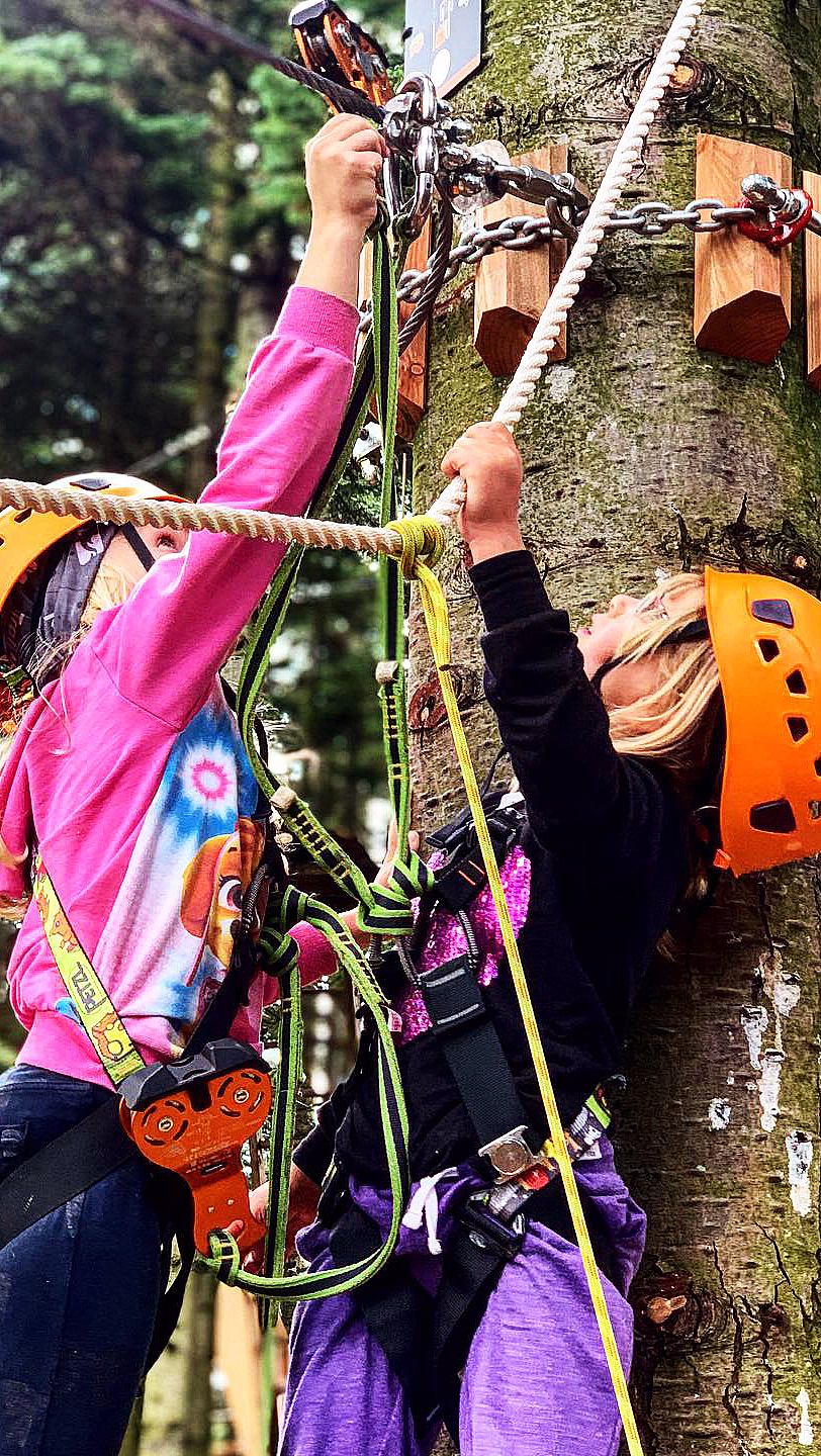 To barn med oransje hjelmer klatrer i et tre med tau og klatreseler i en skog