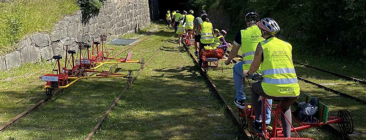 Elektrisk dresintur for familien