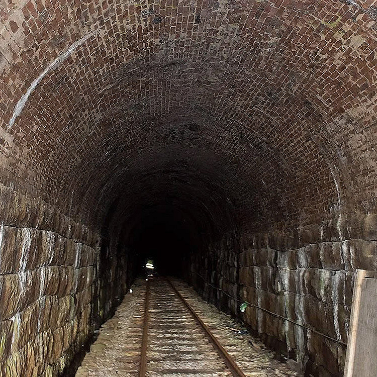 Elektrisk dresintur for familien