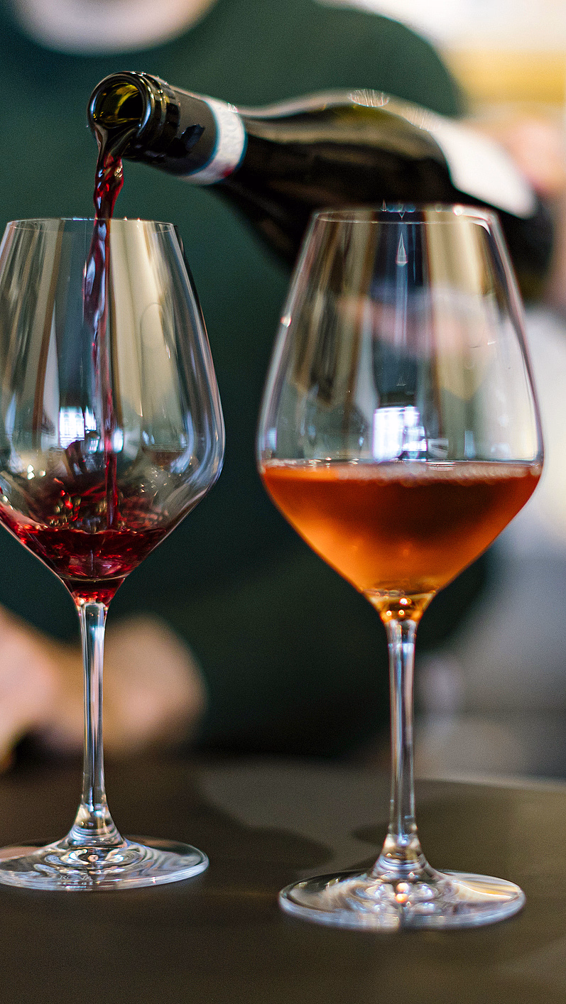 Vinsmaking - image 2