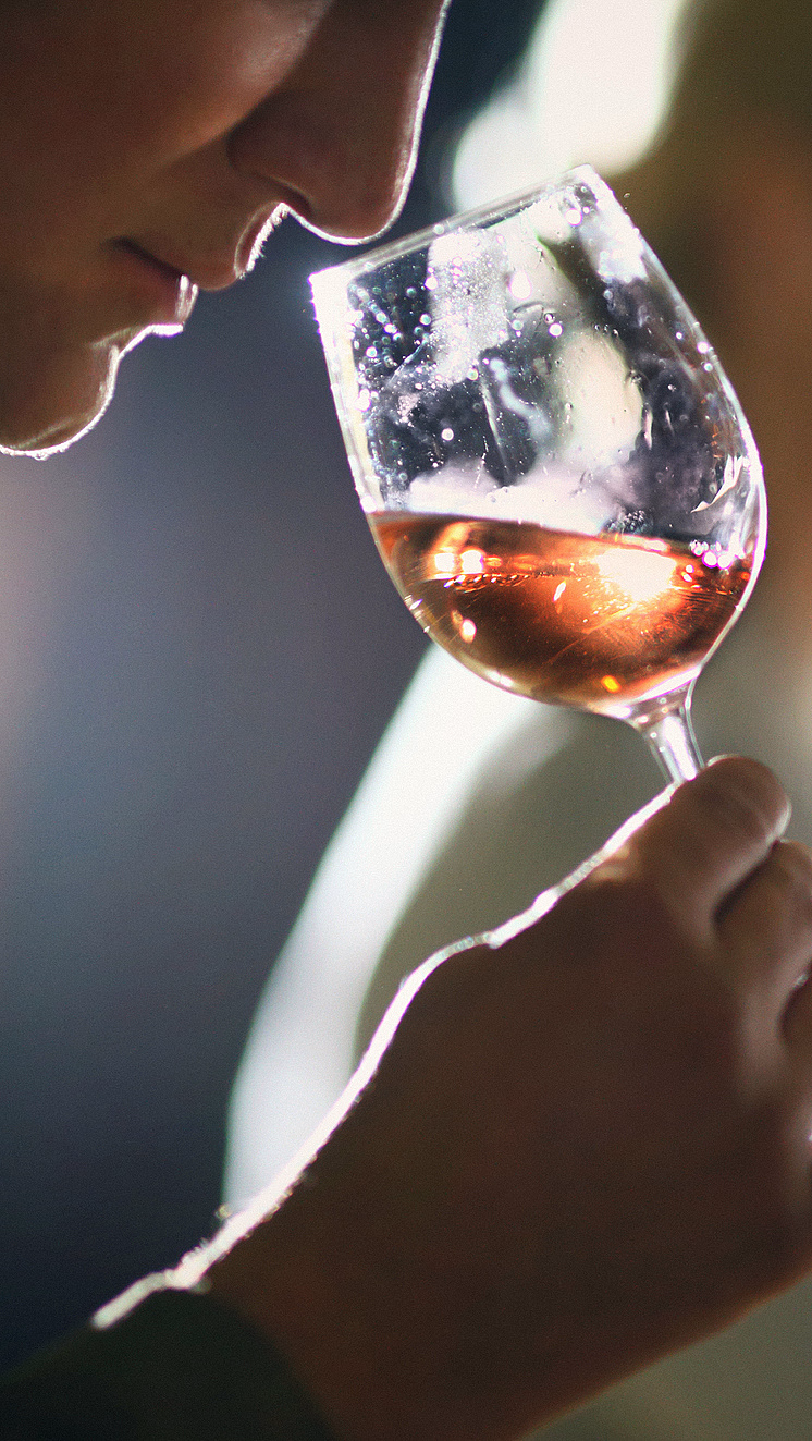 Vinsmaking - image 3