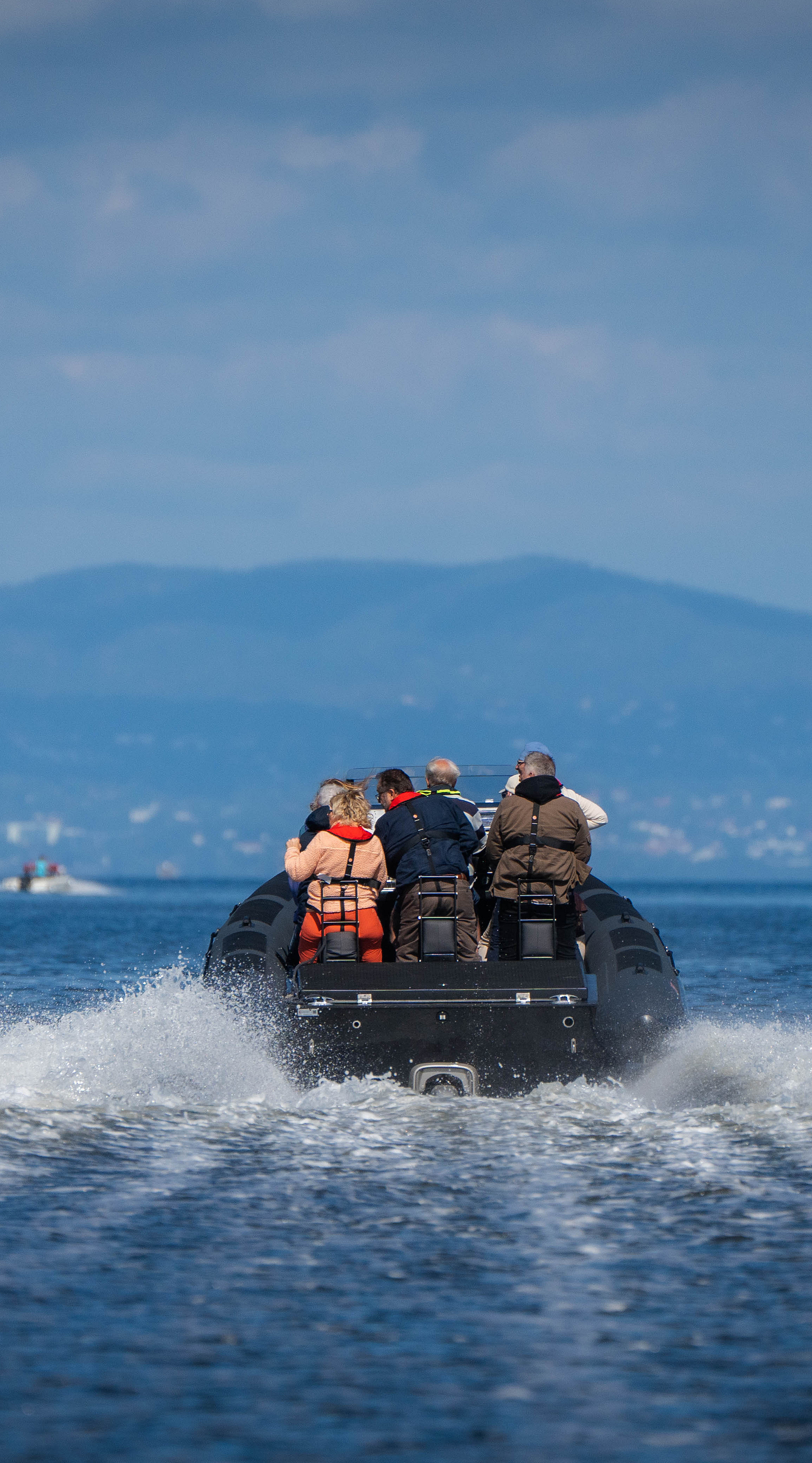 RIB safari