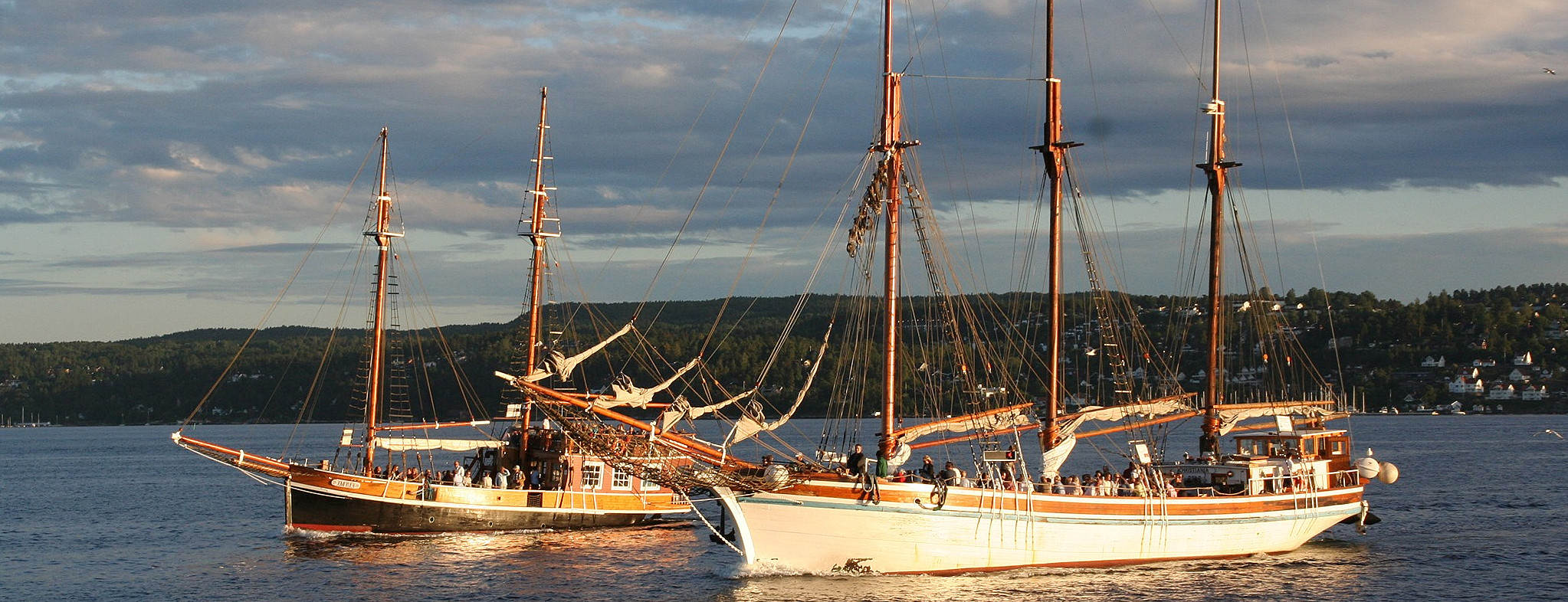 Fjordcruise med rekebuffet