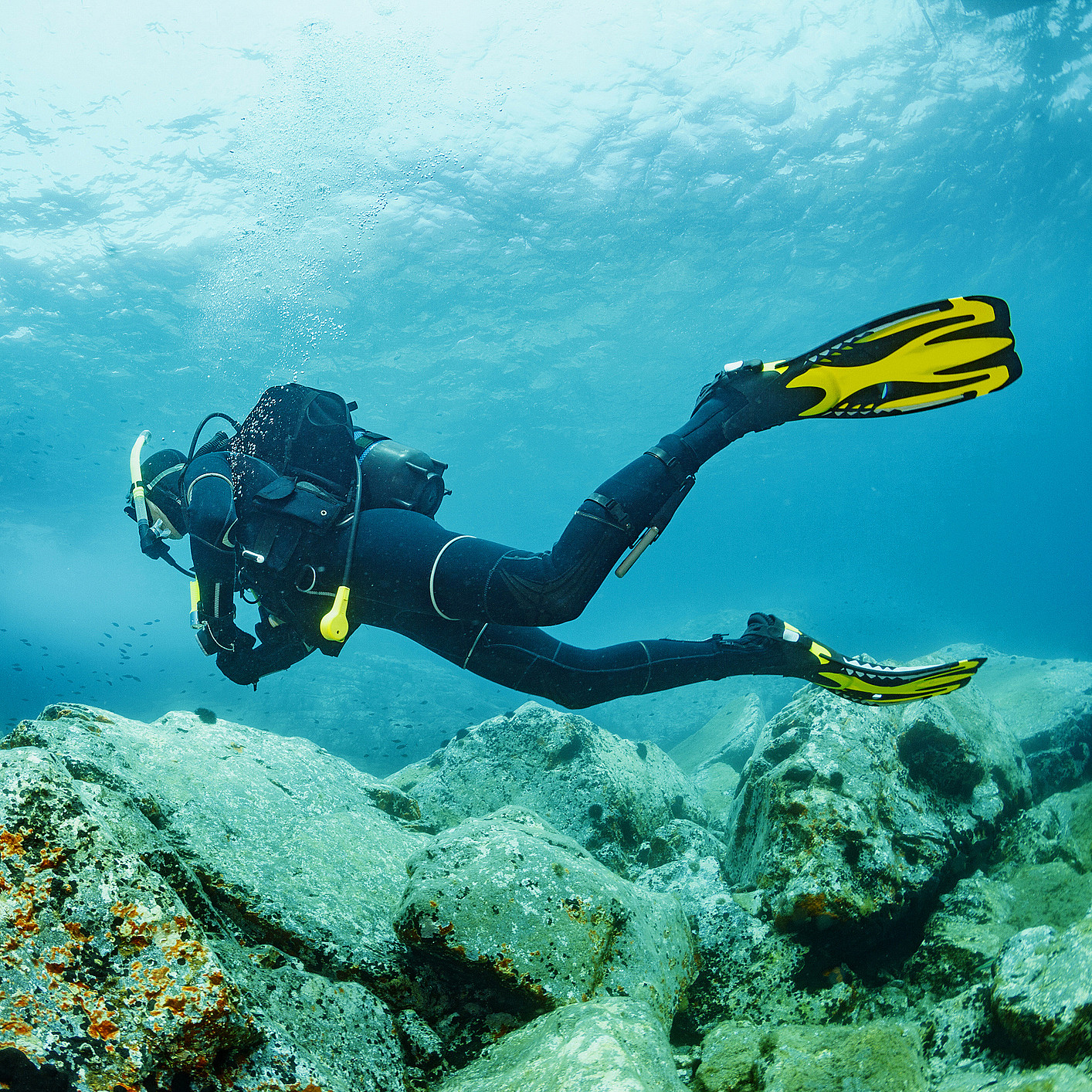 Dykking med divemaster