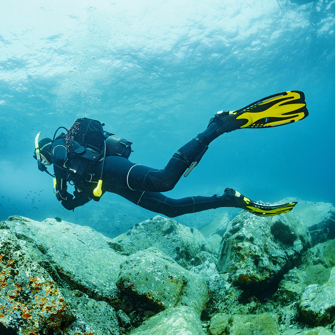 Dykking med divemaster