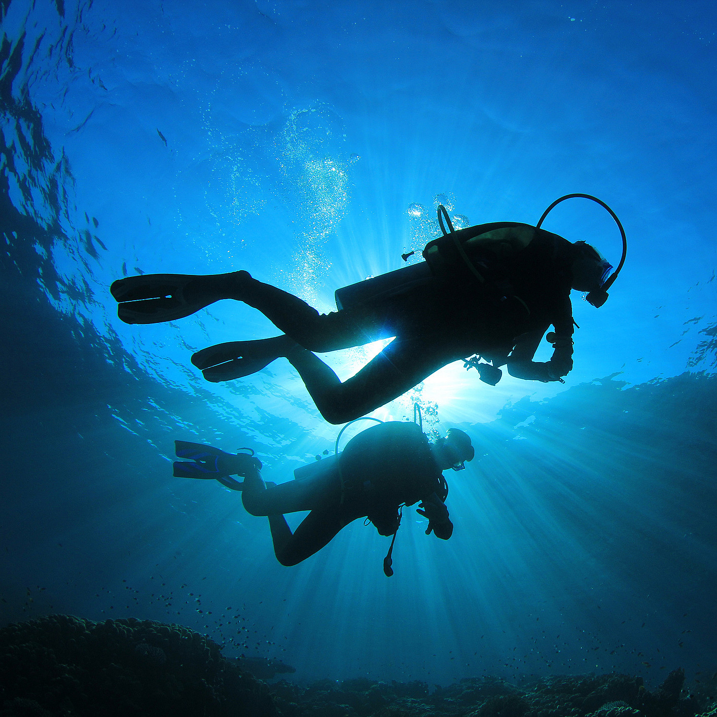 Dykking med divemaster