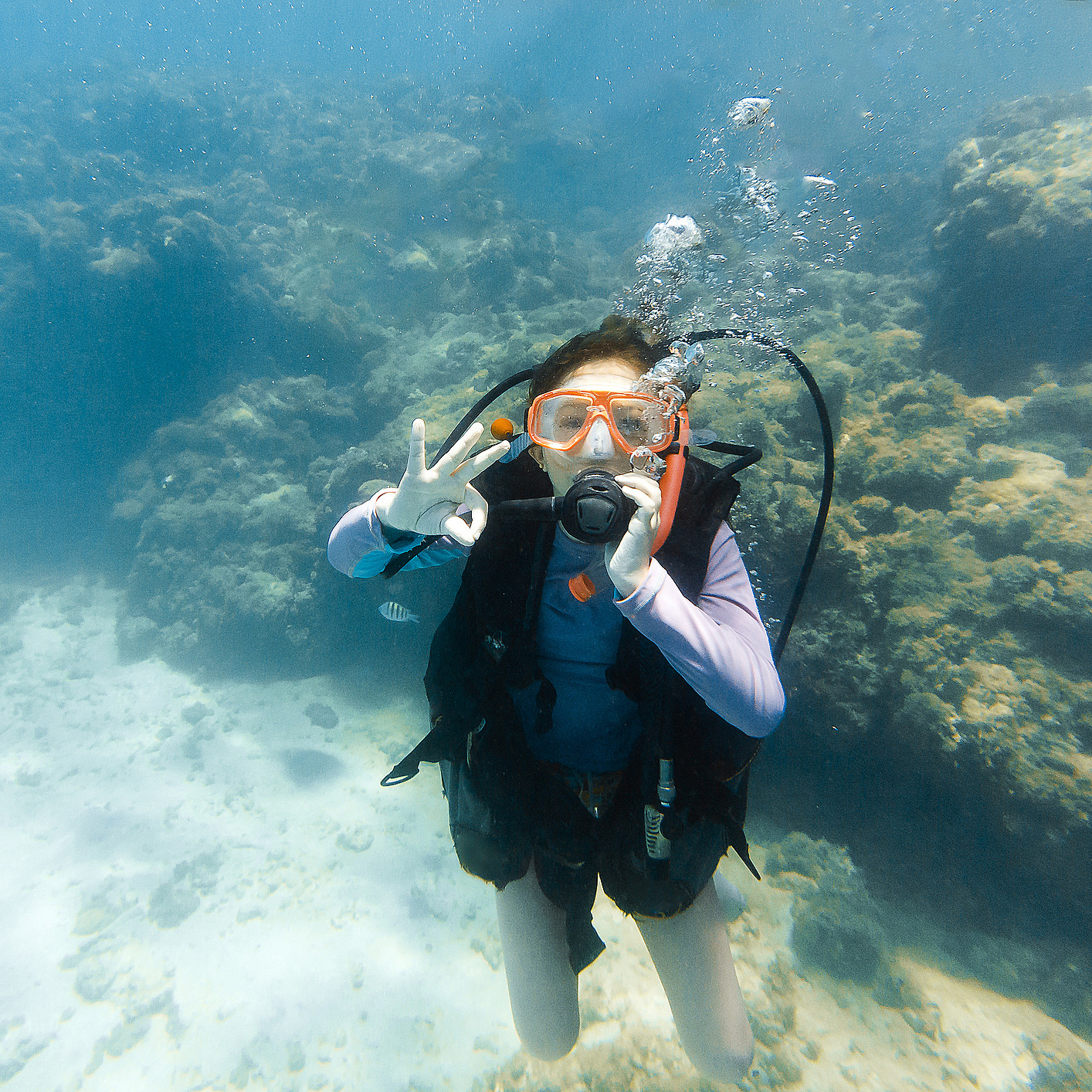 Dykkesafari for barn