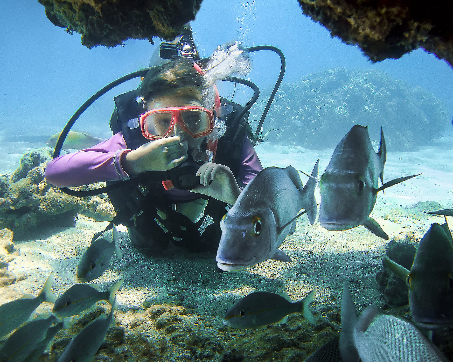 Dykkesafari for barn