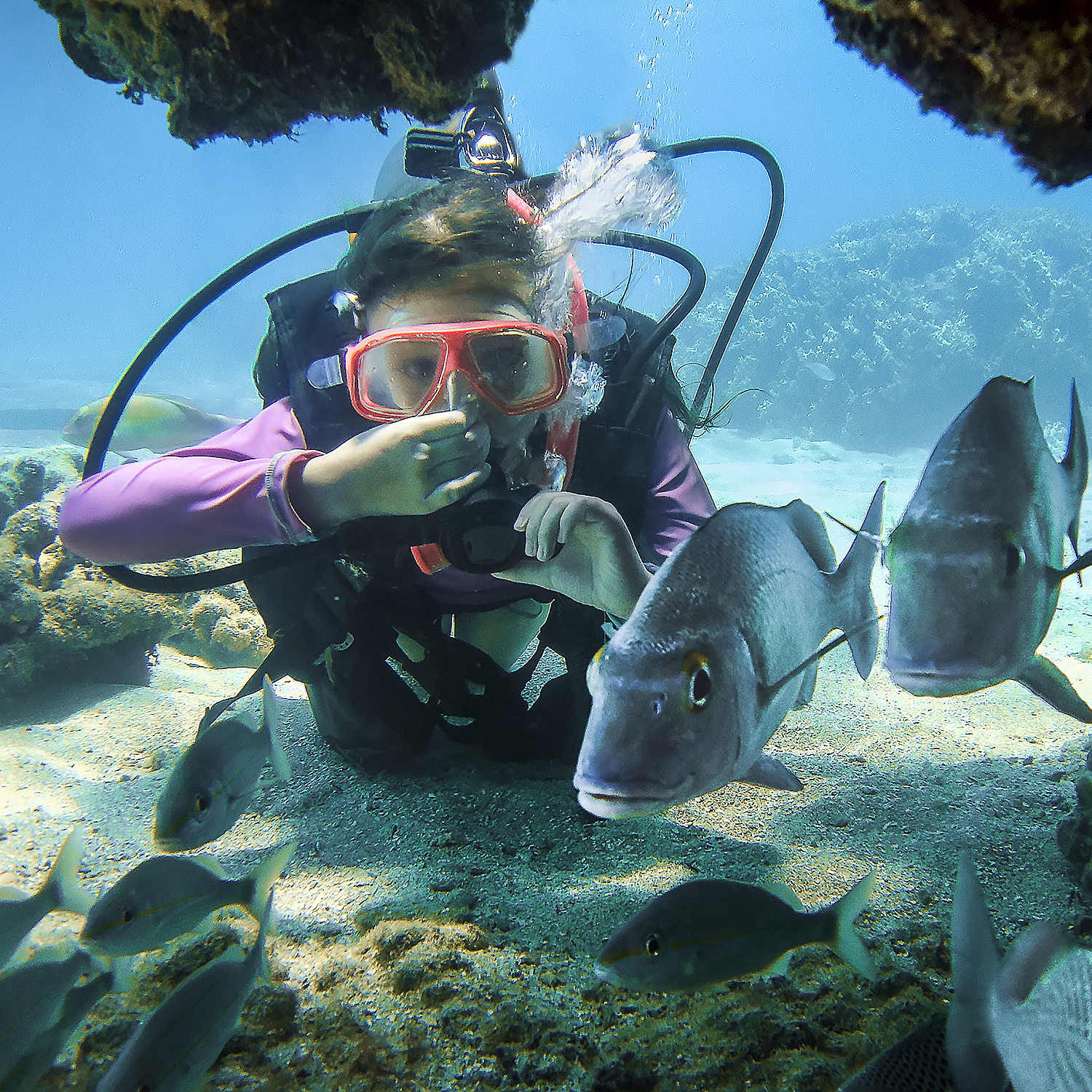 Dykkesafari for barn