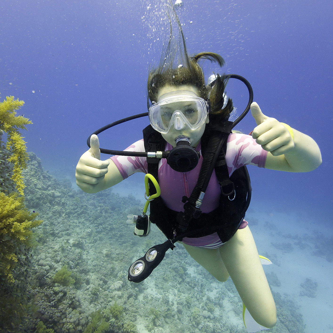 Dykkesafari for barn