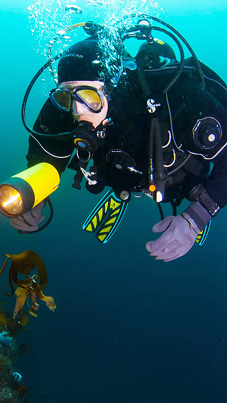 En scuba-dykker i sort våtdrakt holder en gul lykt under vann ved en fjellvegg med tare og gule koraller.