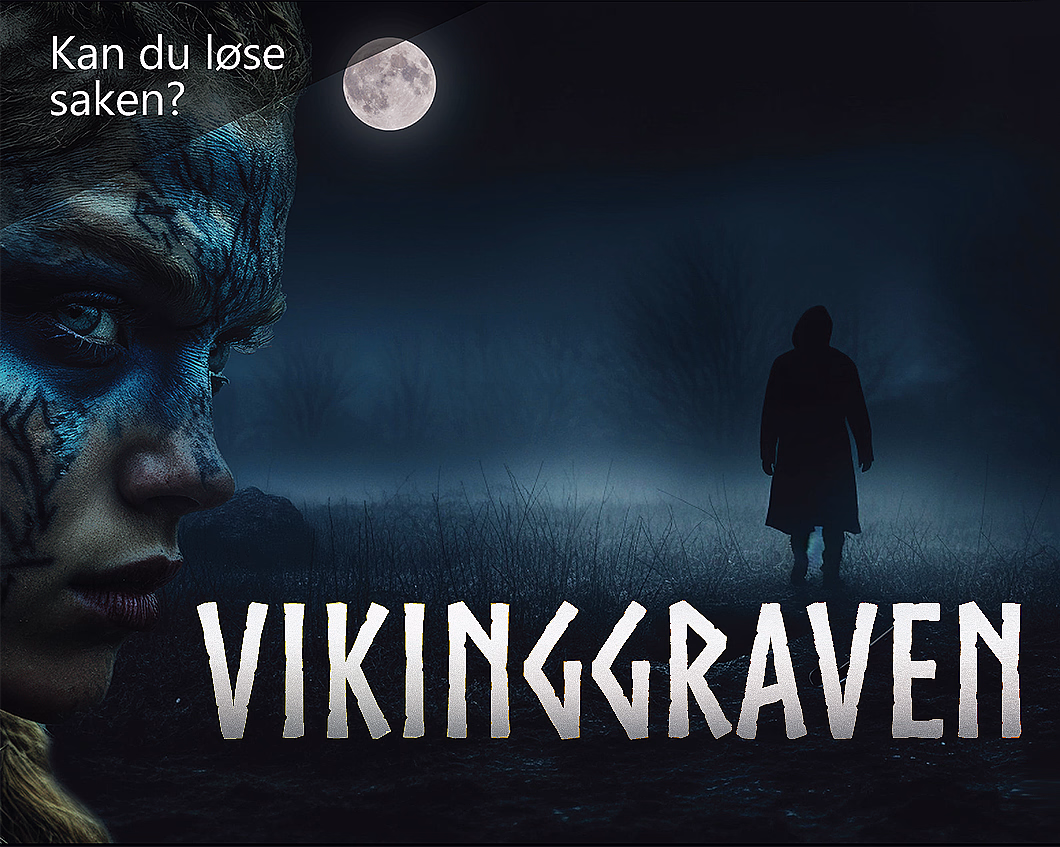 Vikinggraven - image 1