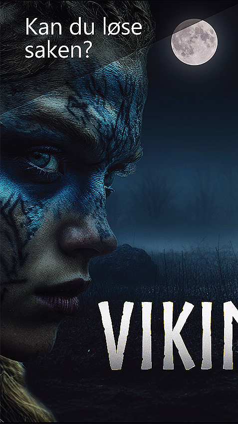 Vikinggraven - image 1