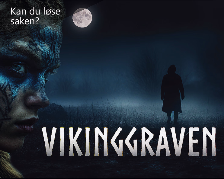 Vikinggraven - image 1