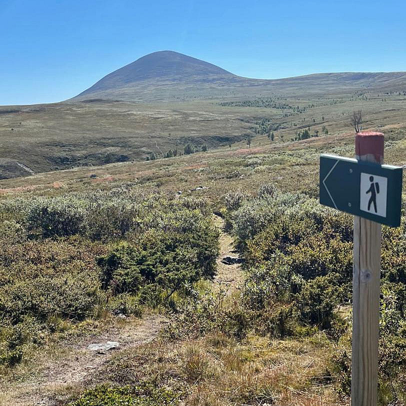Guidet hiking tour til Geitefjellet