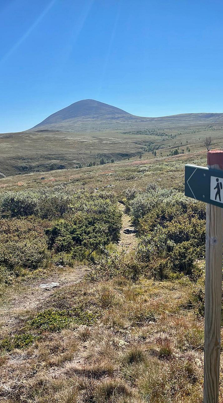 Guidet hiking tour til Geitefjellet